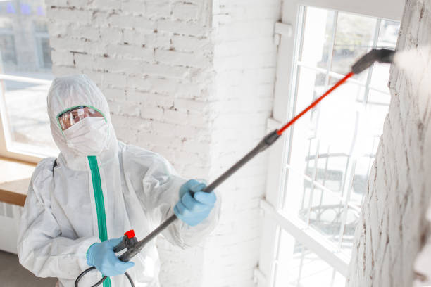 Best Biohazard Mold Removal  in Waldpt, OR