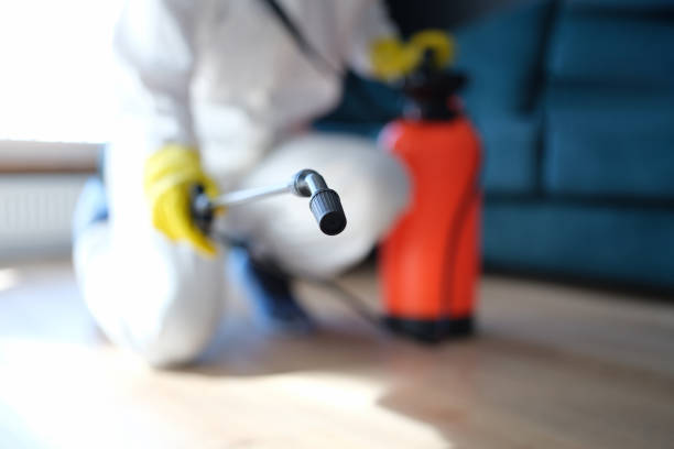 Professional Mold Removal in Waldport, OR