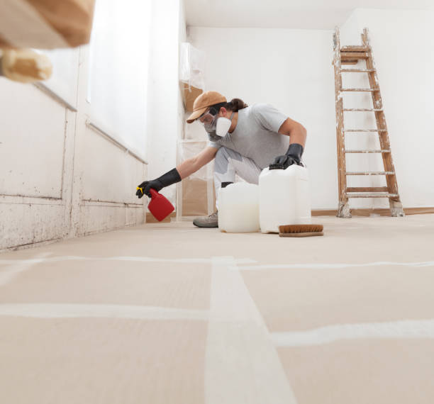 Best Water Damage & Mold Remediation  in Waldpt, OR